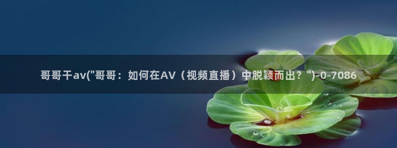 av福利网址导航