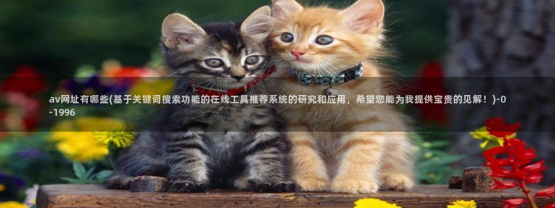 日本AV在线不卡