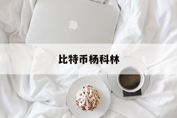 比特币杨科林_比特币杨凯