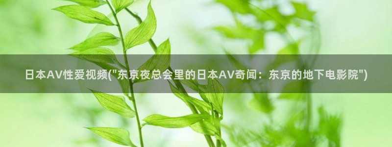 av影院网站