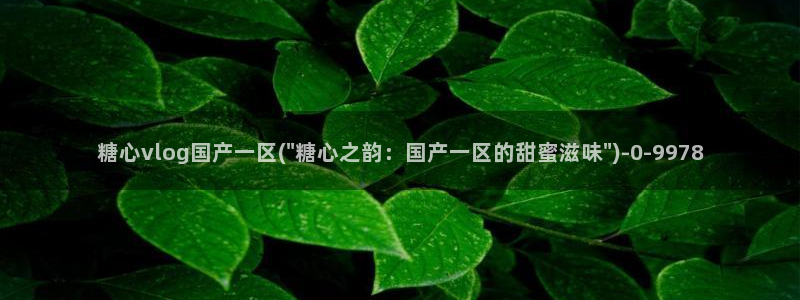 糖心vlog精品
