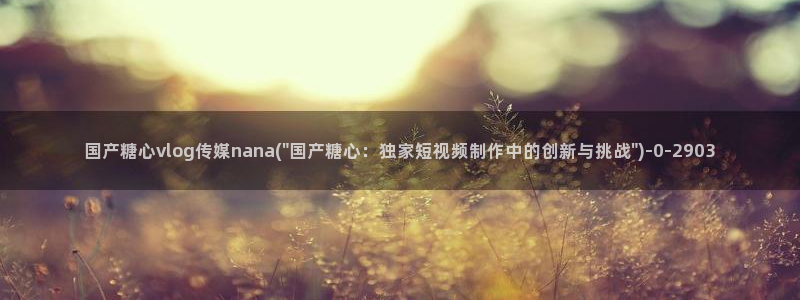 糖心vlog安装