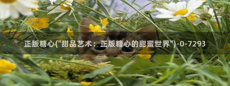 糖心vlog官方版