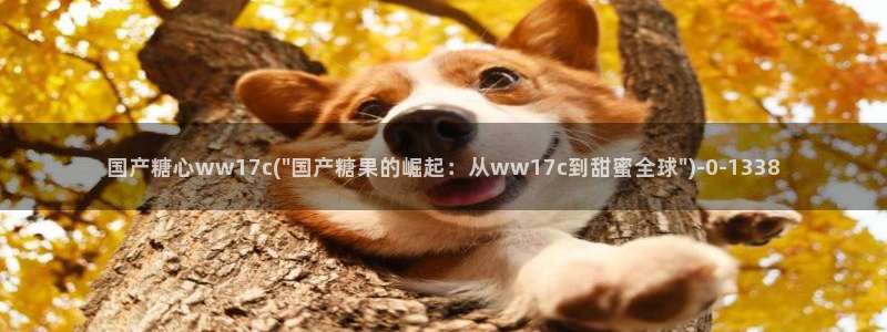 糖心系列vlog