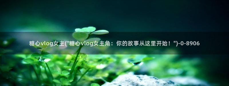 糖心vlog福利