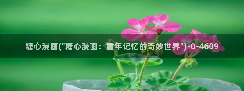 糖心vlog破解在线