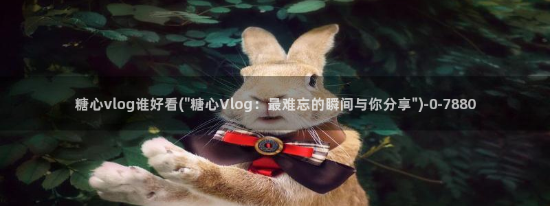 糖心vlog官网在线观看