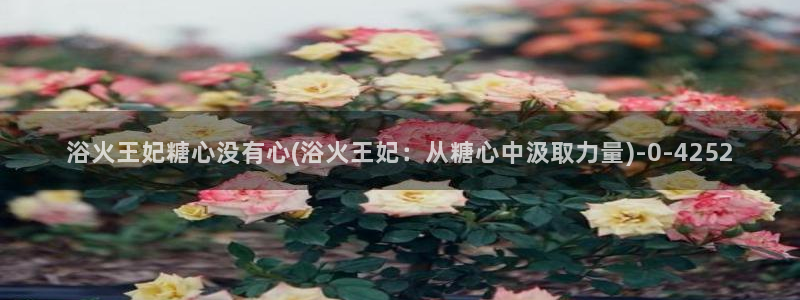 心糖vlog在线观看