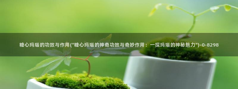 心糖vlog 网站