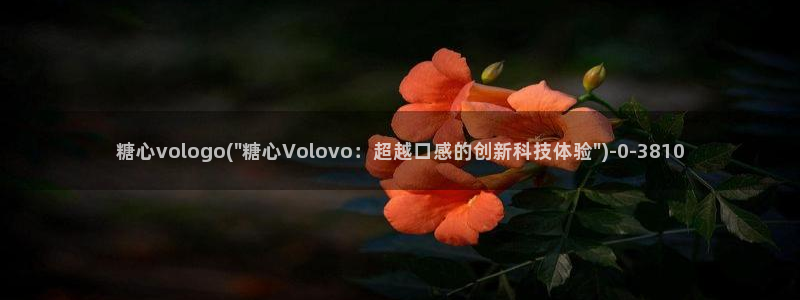 糖心vlog极品女神在线