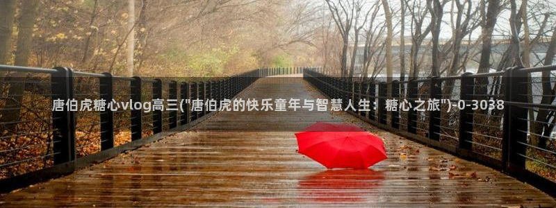糖心vlog糖