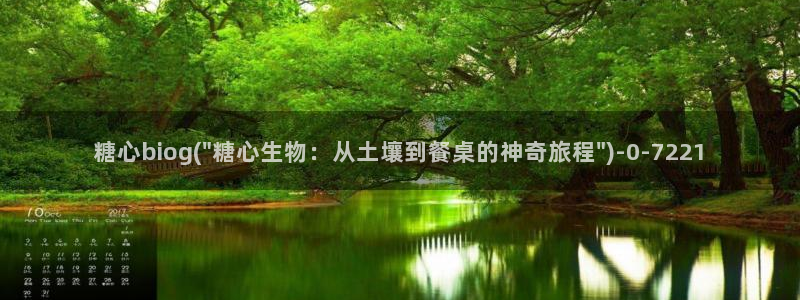 糖心vlog 星辰