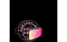 假造
实际
技能
英文简称_假造
实际
技能
英文简称为（造假能力）