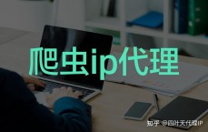 企业级署理
ip_企业ipr与署理
人哪个好（企业ipr与代理人哪个好）