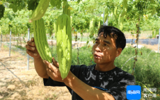 海南瓜菜网络营销战略

_海南瓜菜网络营销战略

分析（2021年海南瓜菜价格发布网）