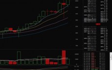 金融专家分析比特币_金融比特币是诈骗公司吗