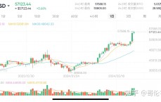 比特币到底是什么币市_比特币到底是个什么东西?
