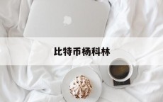 比特币杨科林_比特币杨凯