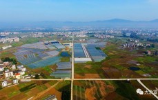 大余个人网站建立
资费的简单

先容
（建立个人网站费用）