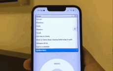 iphone手机翻国外网站教程_iphone手机翻国外网站教程免费（iphone怎么翻去外网）