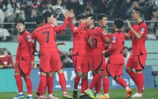 韩国男足名流
_韩国男足球活动
员（韩国男足球运动员）
