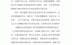 网络安全演讲稿件_网络安全演讲稿100（网络安全演讲稿子）