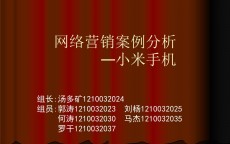 店面网络营销案例分析_网络店肆
的营销方案有哪些（店铺网络营销策划方案）