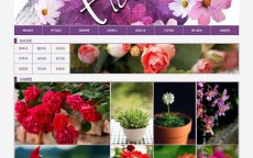 鲜花网站建立
策划

陈诉
_鲜花贩卖
网站的计划
与实现（鲜花售卖网站）