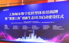 上海市假造
实际
行

业规模_上海假造
仿真软件有限公司（上海造假案）
