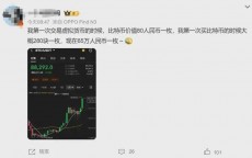 假造
币买比特币_假造
比特币赢利
吗