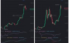 做比特币稳赚吗_做比特币稳赚吗是真的吗