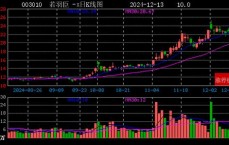 假造
实际
资产有哪些股票_假造
实际
的上市公司有哪些（假造事实）